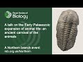 The Early Palaeozoic expansion of animal life | Royal Society of Biology Northern branch