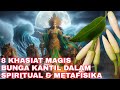 KEMBANG NYI RORO KIDUL!!!_INILAH 8 KHASIAT BUNGA KANTIL DALAM SPIRITUAL DAN METAFISIKA_KEJAWEN JAWA