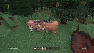 Minecraft hoglin vs zoglin