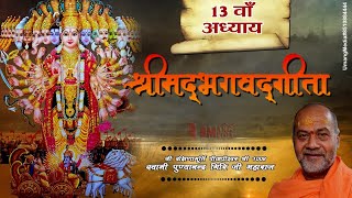 13 दिसंबर || श्रीमद्भगवद्गीता 13वाँ  अध्याय  || स्वामी पुण्यानन्द गिरिजी महाराज || दिल्ली ||