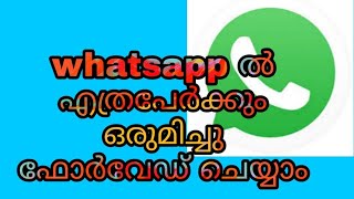 Whatsapp ൽ എങ്ങിനെ 5 ൽ കൂടുതൽ പേർക്ക് ഒരുമിച്ച് മെസ്സേജ് ഫോർവേഡ് ചെയ്യാം