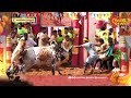 alanganallur jallikattu அலங்காநல்லூர் ஜல்லிக்கட்டு 4 ம் சுற்று highlights round 4 highlights