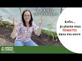 Comment planter et tuteurer les tomates + visite de la serre