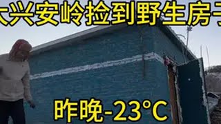 南方小伙子一个人在大兴安岭 改造荒废房子，体验极寒天气，冰天雪地里收留了一只流浪狗狗老房子改造 旅行vlog 老房改造 大兴安岭 老房子翻新改造装修设计