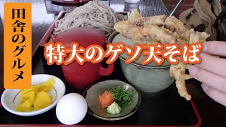 田舎のグルメ！名物特大のゲソ天そば