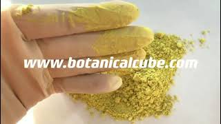 Sophora Flower Bud Extract by Botanical Cube Inc.