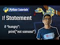 8. If Statement [Python 3 Programming Tutorials]
