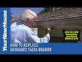 How to Replace a Fascia Board and Repair Water Damage - The Super Handyman