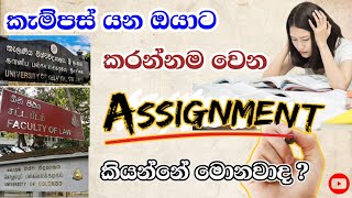 Campus යන්න හිතන් ඉන්නවා නම් අනිවාර්යයෙන්ම බලන්න📚👩‍💻 |University Assignments #campus #study #univlog