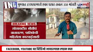 Pune News | पुण्याच्या हडपसरमध्ये एका घरात तब्बल 350 मांजरी; सोसायटीतील नागरिकांची पालिकेत तक्रार