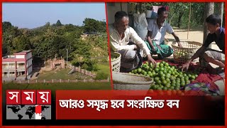 সাফারি পার্ক হচ্ছে না, হাঁফ ছেড়ে বাঁচল ৩৫০ পরিবার | Bangabandhu Safari Park | Moulvibazar | Somoy TV