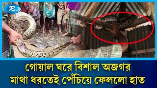 ২০ কেজি ওজনের বিশাল অজগর, মুহূর্তেই পেঁচিয়ে ফেললো মালিকের হাত | Python | Rtv News