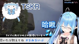 【廢片精華】打噴嚏的菈米【雪花菈米/Vtuber精華/雪花ラミィ切り抜き/ホロライブ/打噴嚏幫大忙/クシャミ助かる】【中文字幕】