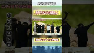 【切り抜き】爆産させられるのは誰だ！？ニジイロクワガタの産卵対決！理想のニジイロ争奪戦！　#カブトムシ #クワガタ #クワカブ #昆虫 #shorts