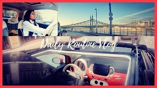 MY DIARIES | My Daily Driving 🚘🚦Routine ♡from Budapest🌉to Dabas🌅🛣 | Let's go to Work | Twine