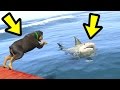 GTA 5 - Chop vs. Shark! (Who Survives?) GTA 5 - Chop vs. Shark! (Who Survives?)