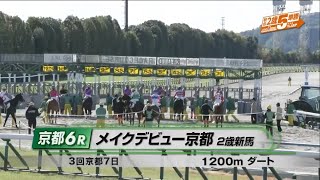 【2歳新馬/メイショウヤーキス】メイクデビュー京都［2023.11.25 京都第6R/1200m ダート］