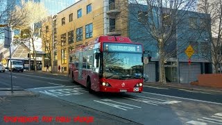 Transport for NSW Vlog No.1014 Bondi Junction Buses part 2