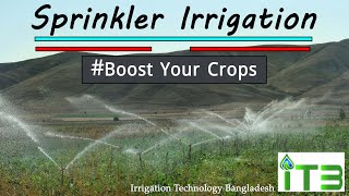 স্প্রিংকিলার ইরিগেশন । Sprinkler Irrigation । ফসল উৎপাদন বাড়াতে এটি ব্যবহার করুন! #Boost_your_crops!