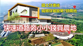 【一抹青新頻道】30米快速道路旁的都計內小坪數農地/滿滿果樹/快速發展的府城