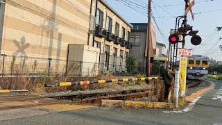 駅前TV 沿線風景004 熊本電鉄 路面区間