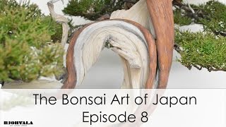 The Bonsai Art of Japan - Episode 8