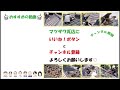 2022.02.11【平板瓦の固定方法】ウェアラブルカメラ目線