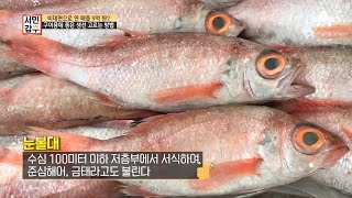 소리없는 전쟁, 경매! 갑부가 알려주는 좋은 생선 고르는 방법 | 독한인생 서민갑부 299 회