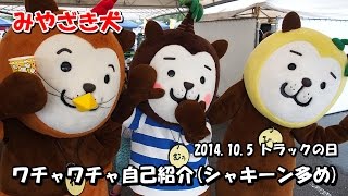 【みやざき犬】シャキーン多めなワチャワチャ自己紹介 ( 2014.10.5 )