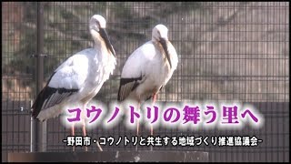 コウノトリの舞う里へ　～野田市・コウノトリと共生する地域づくり推進協議会～