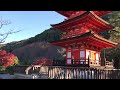 清水寺 子安塔と紅葉 2017年11月24日 秋【京都の紅葉】