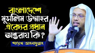 মুসলিম উম্মাহর ঐক্যের প্রধান অন্তরায় কি? Shaikh Ahmadullah waz