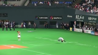 140930 ファイターズ 試合開始前のB☆Bとポリー そして杉谷拳士