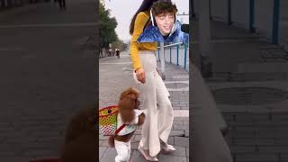 DOG WALKS ON 2 LEGS