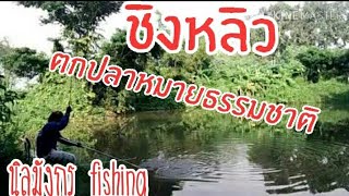 Ep45 ตกปลาหมายธรรมชาติ💯ด้วยชิงหลิว💯นิลมังกร fishing