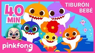 Mejores Canciones del Tiburón Bebé | +Recopilación | Pinkfong Canciones Infantiles