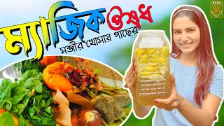 ফল/সব্জীর খোসাদিয়ে সহজে তৈরি করুন গাছের প্রয়োজনীয় খাদ্য উপাদান | বায়ো এনজাইম | Bio Enzyme |