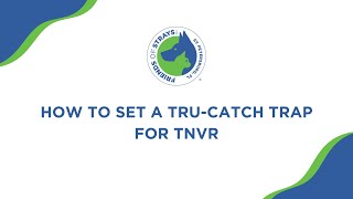 Setting a trap for TNVR