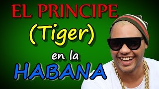 Entrevista al Principe Tiger - Parte 2 - Robertico Comediante