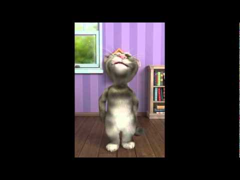 Talking Tom Cat 2 – Serie completa