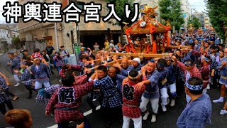 30年    　北澤八幡神社　例大祭　三年に一度の神輿連合宮入り　迫力満点。