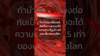 เส้นเลือดในร่างกายมนุษย์ มีความยาว เท่าไร? #รู้หรือไม่ #รู้ไว้ใช่ว่า #ความรู้ดีดี