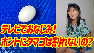 テレビでおなじみ！ホントにタマゴは割れないの？【岡山キッズタレント sana (9歳)】