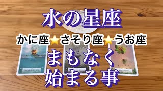 【３択】水の星座さんへ💕かに座♋️さそり座♏️うお座♓️まもなく始まる事✨