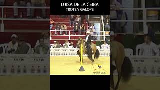 LUISA DE LA CEIBA P1 2010 TROTE Y GALOPE #shortsvideo