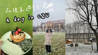 捷克交換生都在幹嘛？｜A day at CZU 🏫