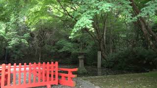 【宇佐神宮】宇佐八幡宮　祓所　何かの舞台のような感じで池と滝もある