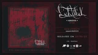 Lichtblick - Amaurosis (Official Track Stream)