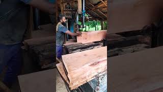 মেহগনি কাঠ চিরাই ।। meherbani wood cutting