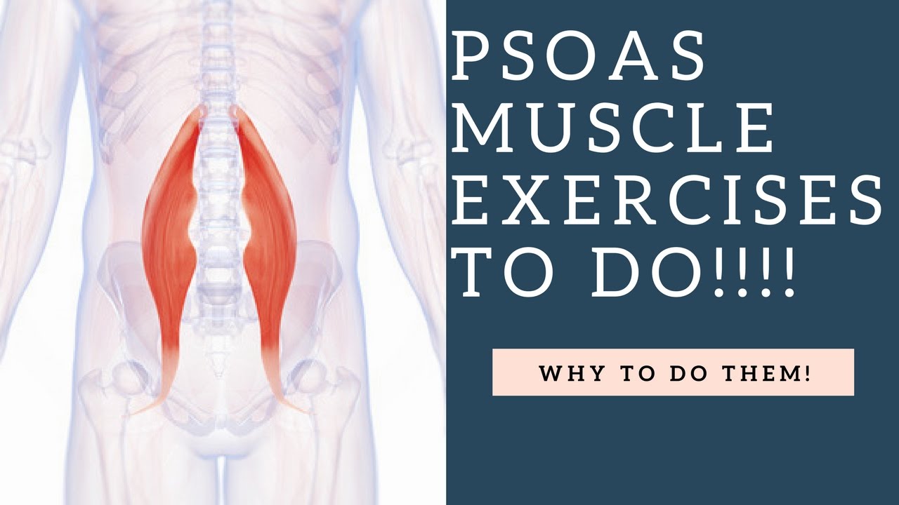 BEST Psoas Muscle Exercises To Do To Strengthen & Stretch This Hip ...